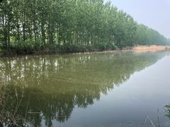 -微山湖红荷湿地景区