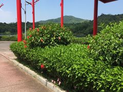 -东部华侨城