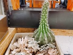 -颐玖 咖啡|甜品