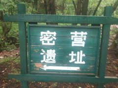 -龙道沟景区
