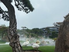 -罗红摄影艺术馆