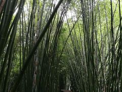 -四洞沟景区