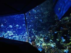 -香港海洋公园