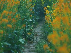 -中国天府农业博览园