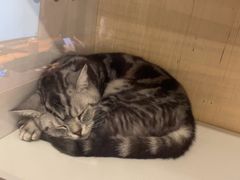-老炮儿轰趴团建KTV桌游棋牌主题馆(五道口店（底商店))