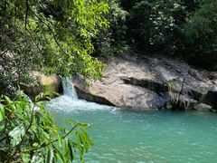 -广州白江湖森林公园