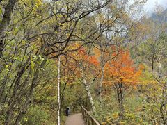 -叠溪松坪沟景区