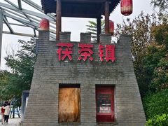 -茯茶镇
