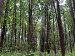-同里国家湿地公园