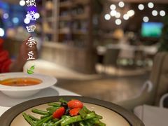 -一棵树·意大利西餐厅One Tree(新城店)