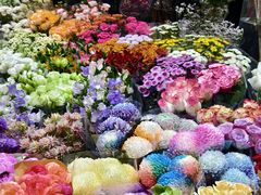 -双季花艺园艺市场(浦东店)