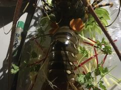 -越海渔村