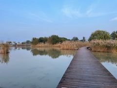 -盐城丹顶鹤湿地生态旅游区