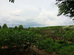 iphone_upload_pic-草根堂农场