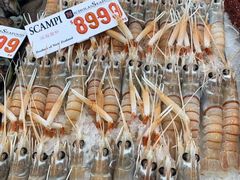 -悉尼鱼市场