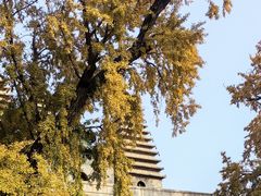 -北京石刻艺术博物馆(五塔寺)