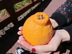 景点-柱状节理带