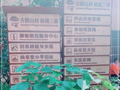 -杨家堂村