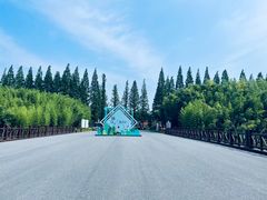 -黄海国家森林公园