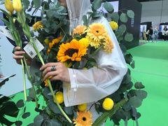 -南宁国际会展中心(会展东博文化旅游区)
