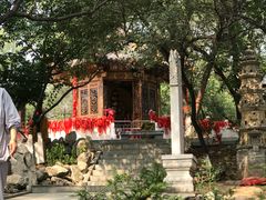 -高尔山公园