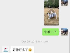 -心语宠物医院·急重症转诊中心·瑞辰华诺(南青路店)