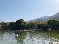 -西安秦岭野生动物园