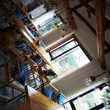 茶园发呆