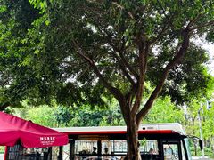 -陈麻婆豆腐(旗舰店)