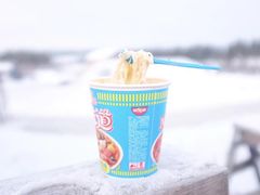 -北极村旅游风景区