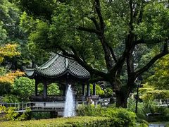-申粤轩酒楼·三十年粤菜经典(丁香花园店)