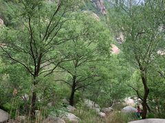 -碓臼峪自然风景区