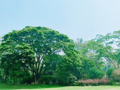 -中国科学院西双版纳热带植物园