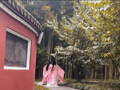 -望江楼公园