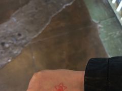 -阿尔卡特拉斯岛