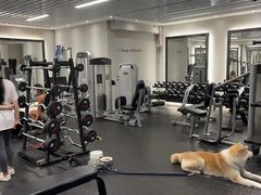 -YCHL Studios健身工作室(市二宫店)