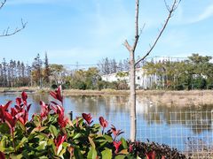 -上海长兴岛郊野公园