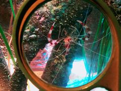 -沈阳海洋探索中心