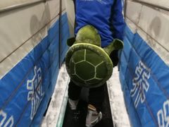 -绍兴启迪乔波冰雪世界