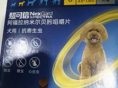 -申普宠物医院·眼科·心内科·影像科(普陀分院)