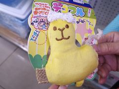 -宠颐生中康贝怡动物医院