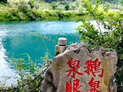 -靖西鹅泉风景区