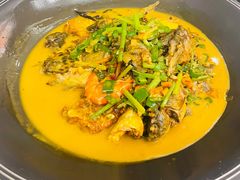 -饭怕鱼·黄焖鲟龙鱼(湖大店)
