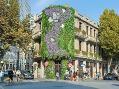 -小凤庭·地道湖北菜武昌鱼·藕汤(38年黄鹤楼店)