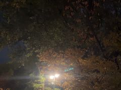 -北海道厅旧本厅舍(旧本庁舎)