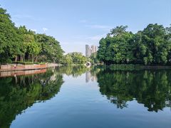 -侨美·唐荔园·40年地道粤菜