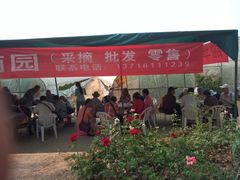 -庞各庄西瓜蔬菜采摘园·锦华瓜园