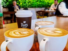 -Peet's Coffee皮爷咖啡(大学路店)