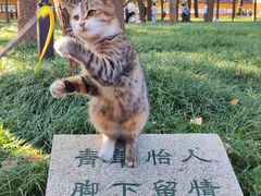 -陆家嘴金融服务广场2期