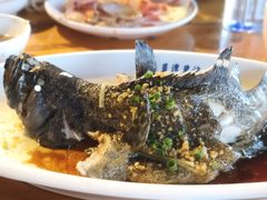 -蓝湾碧波·老字号·疍家非遗海上餐厅